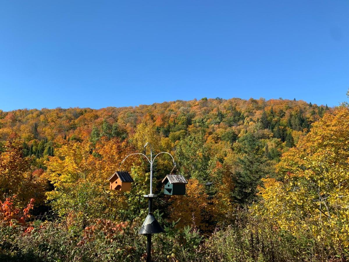 Loft Nature Laurentides Val-des-Lacs Экстерьер фото