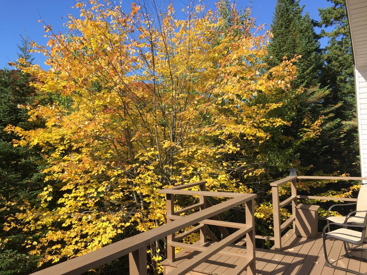 Loft Nature Laurentides Val-des-Lacs Экстерьер фото